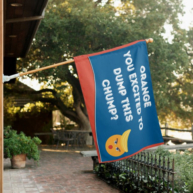 Orange You Excited to Dump this Chump Trump Flag (In SItu)