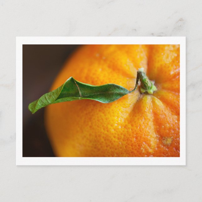 Orange you glad? postcard (Front)