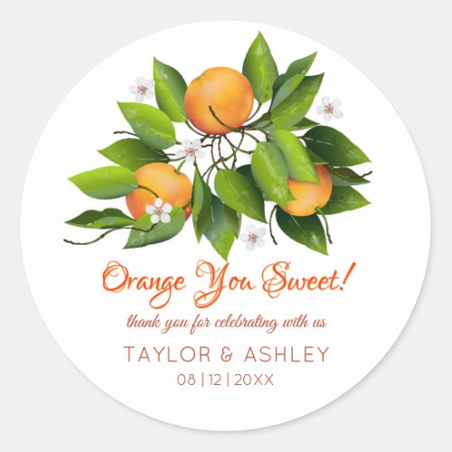 Orange You Sweet Fruit  Wedding Classic Round Sticker