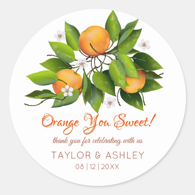 Orange You Sweet Fruit | Wedding Classic Round Sticker (Front)