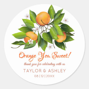 Orange You Sweet Fruit Wedding Classic Round Sticker