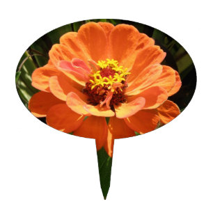Orange Zinnia Cake Pick
