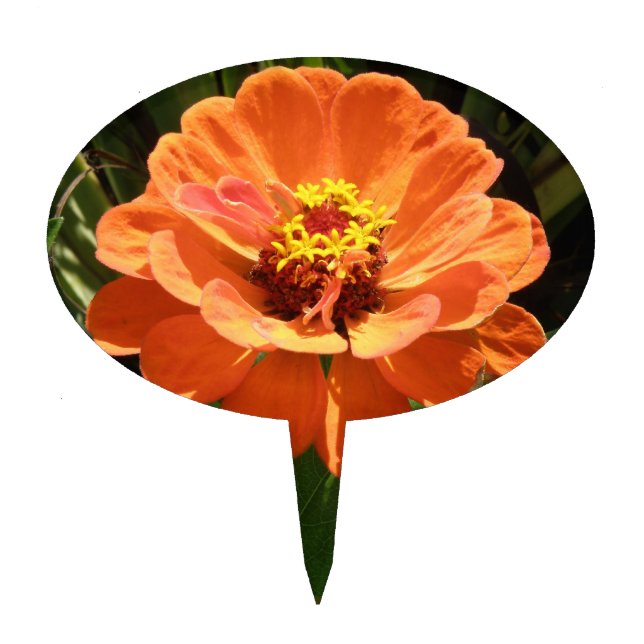 Orange Zinnia Cake Pick (Front)