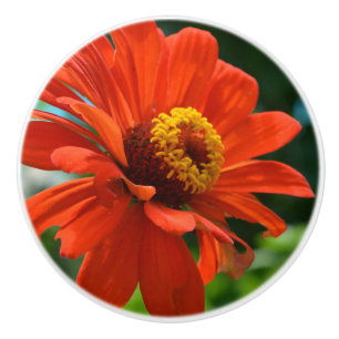 Orange Zinnia Ceramic Knob