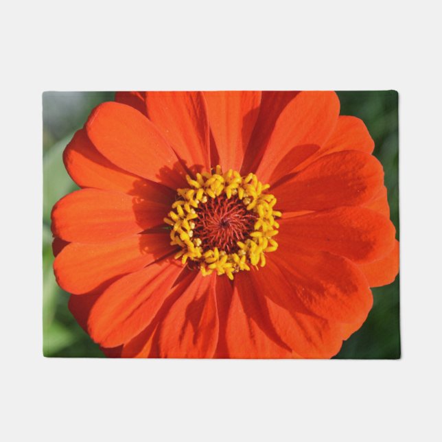 Orange zinnia doormat (Front)