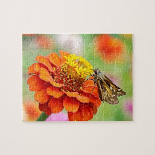 Orange Zinnia Flower  Butterfly Jigsaw Puzzle