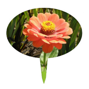 Orange Zinnia Flower Cake Pick