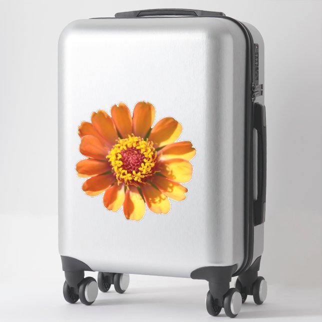 Orange zinnia flower close-up sticker (Suitcase)