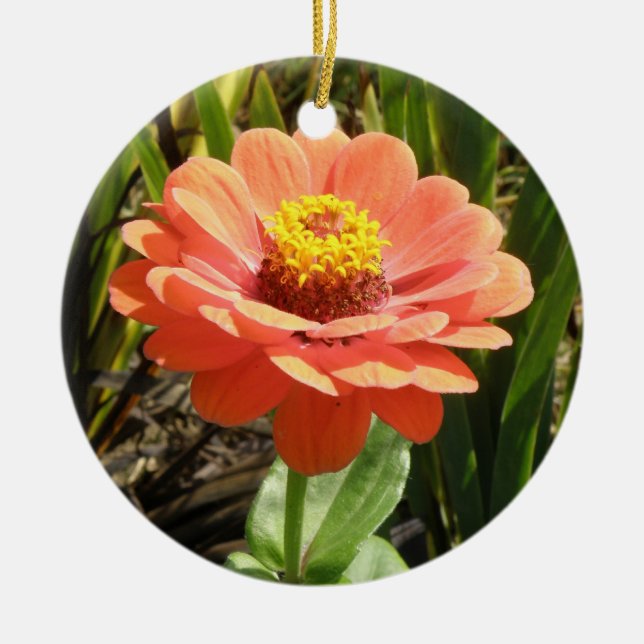 Orange Zinnia Flower Custom Birthday Ceramic Ornament (Front)
