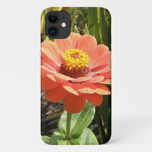 Orange Zinnia Flower iPhone 3 Case (Back)