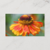 Orange Zinnia Flower Photography Business Card (Back)