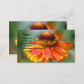 Orange Zinnia Flower Photography Business Card (Front/Back)