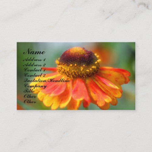 Orange Zinnia Flower Photography Business Card