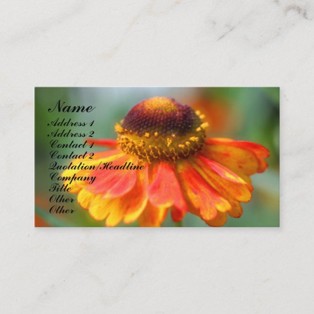 Orange Zinnia Flower Photography Business Card (Front)