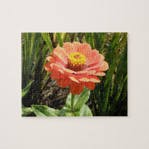 Orange Zinnia Flower Puzzle
