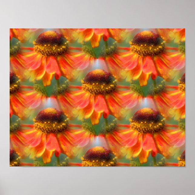 Orange Zinnia Flowers Abstract Art Poster (Front)