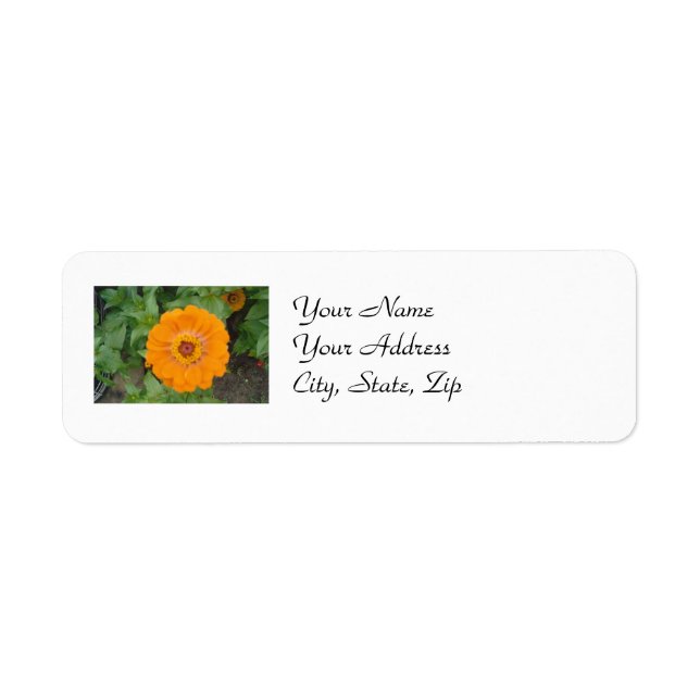 Orange Zinnia Label (Front)