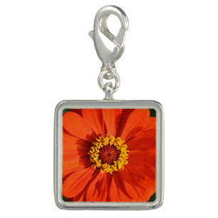 Orange Zinnia orange flower Charm