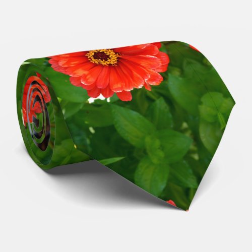 Orange zinnia orange flowers red flowers neck tie