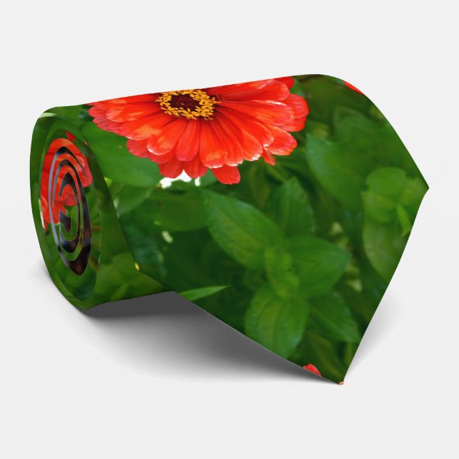 Orange zinnia, orange flowers, red flowers neck tie (Rolled)