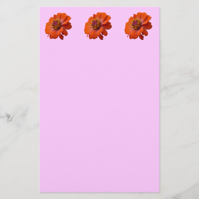Orange Zinnia Wildflower Nature Floral Stationery (Front)