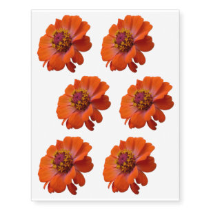 Orange Zinnia Wildflower Nature Floral Temporary Tattoos