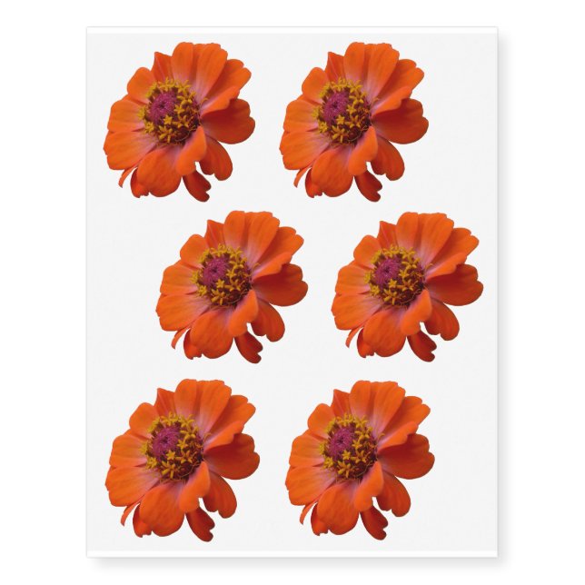 Orange Zinnia Wildflower Nature Floral Temporary Tattoos (Front)