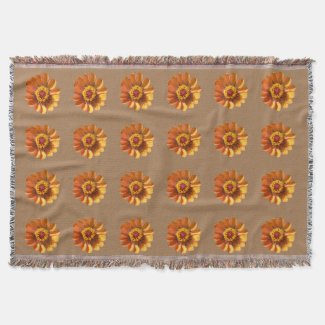 Orange zinnias flowers on brown background