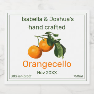 Orangecello label vintage orange illustration