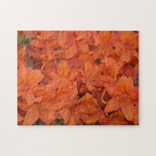 Orangene Blten Jigsaw Puzzle