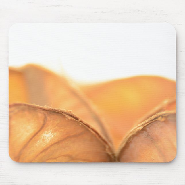Orangene Frucht Mouse Pad (Front)
