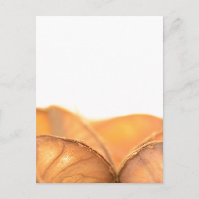 Orangene Frucht Postcard (Front)