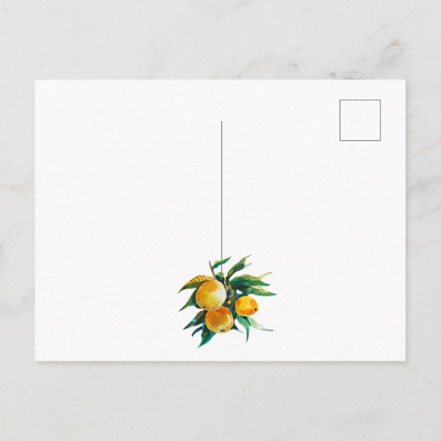 Oranges and flowers postcard (Back)