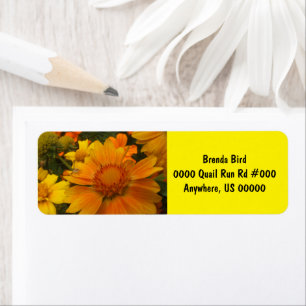 Oranges And Lemons Blanketflower With Crab Spider Label