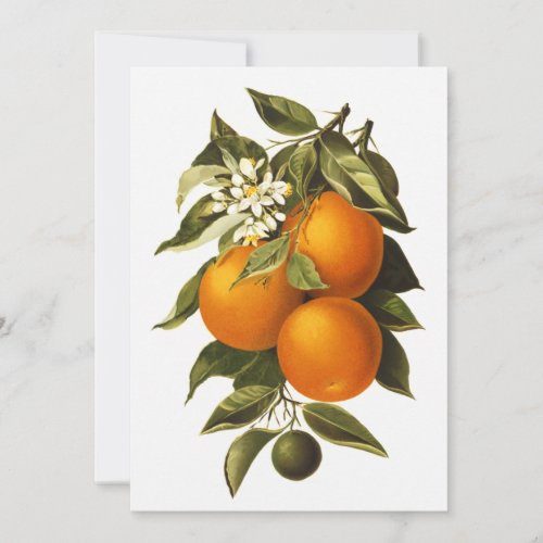 Oranges and Poppies Custom Invite