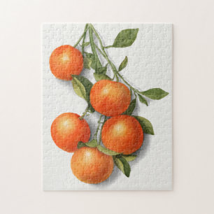 Oranges (Calamondian) Fruit Watercolor Painting Jigsaw Puzzle