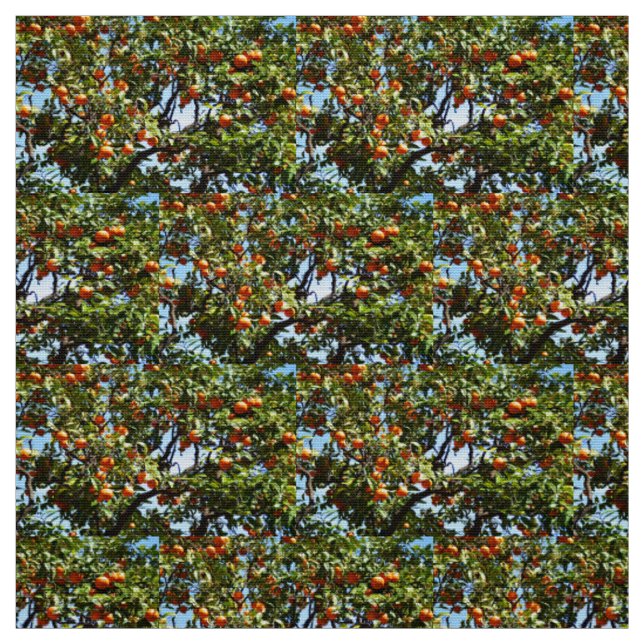 Oranges Fabric (Swatch)