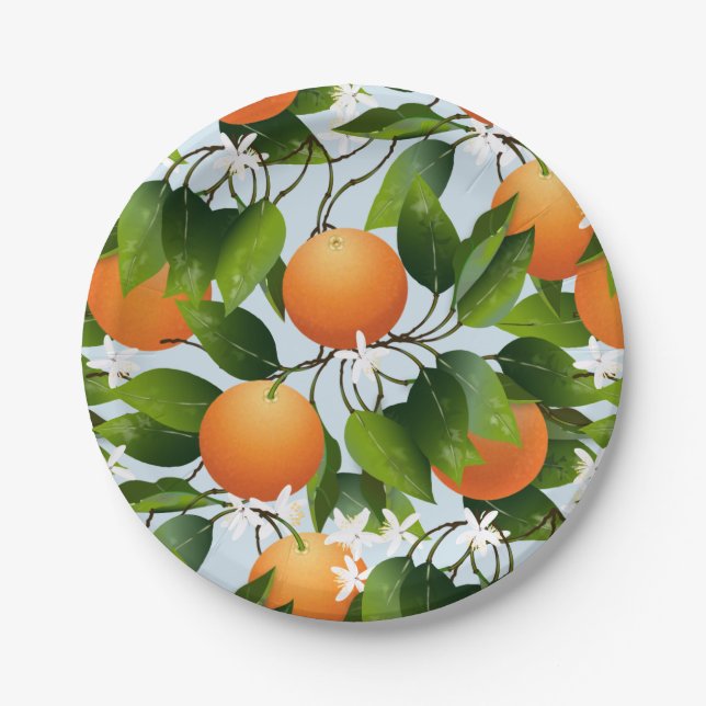 Oranges Fruit Citrus Cocktail Party Paper Plates (Front)