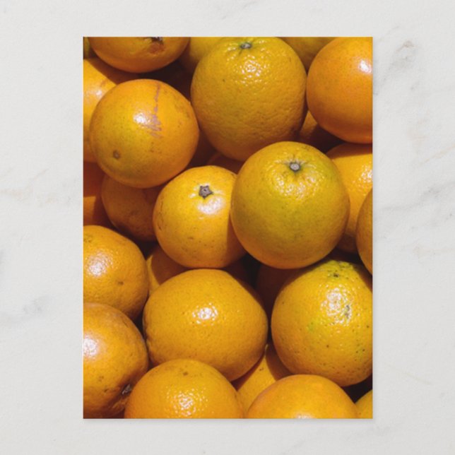 Oranges fruit Florida market orange  Postcard (Front)