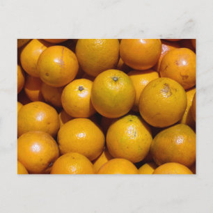Oranges fruit Florida market orange Postcard