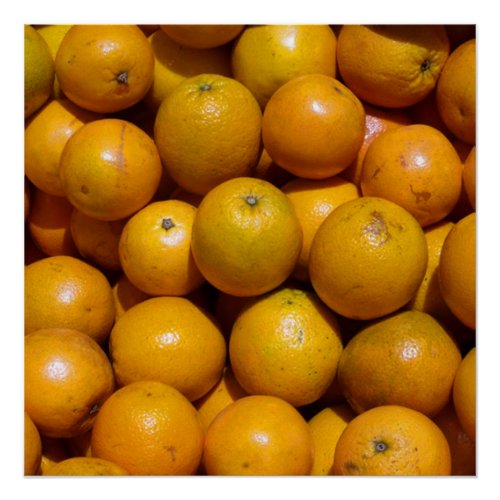 Oranges fruit Florida market orange  Poster