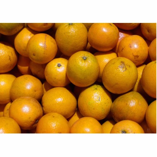 Oranges fruit Florida market orange  Statuette