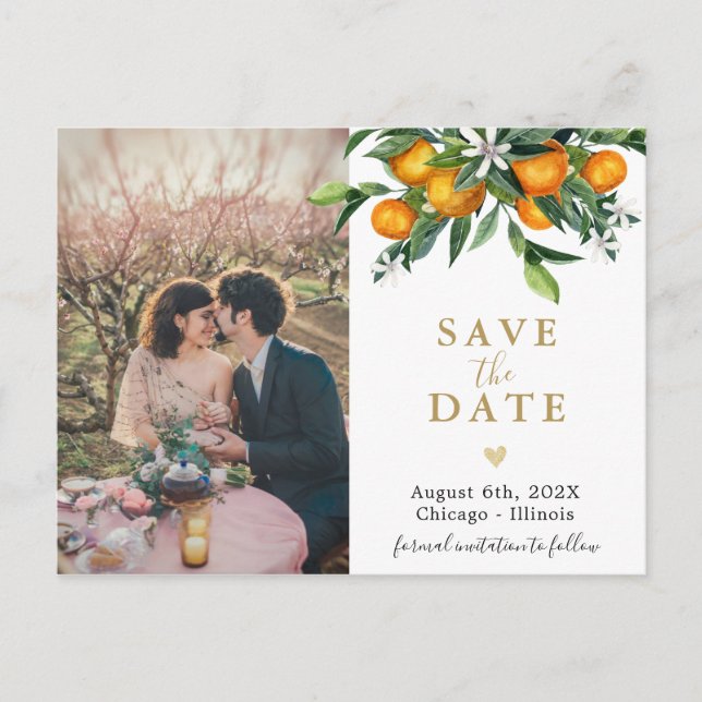 Oranges garden save the date photo postcard (Front)