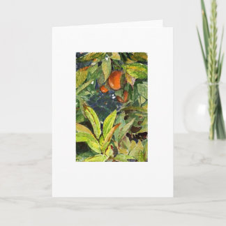 Oranges on the tree pencil enhanced extra dry card