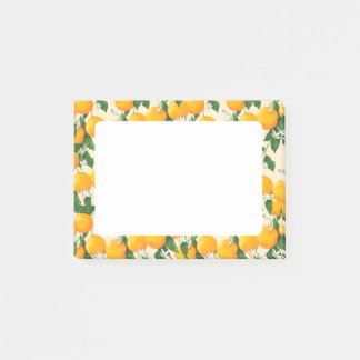 Oranges Post-it Notes
