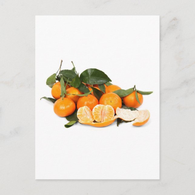 Oranges Postcard (Front)
