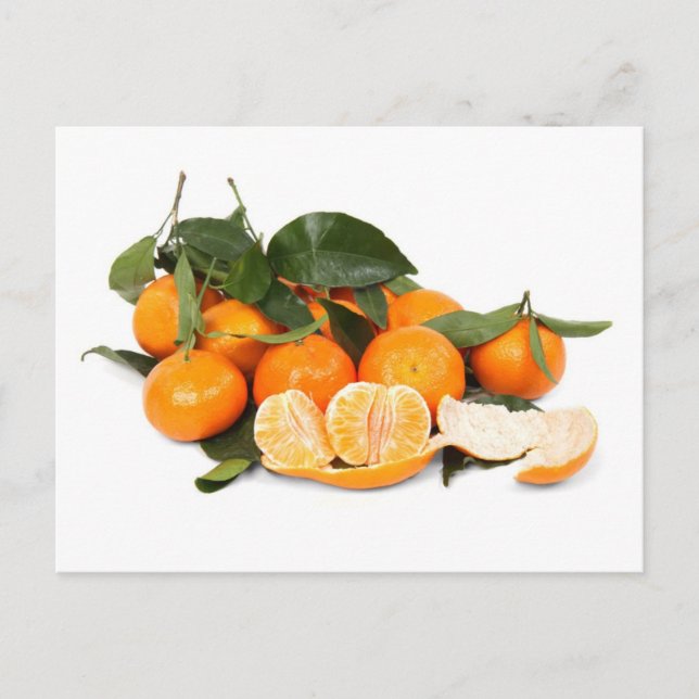 Oranges Postcard (Front)