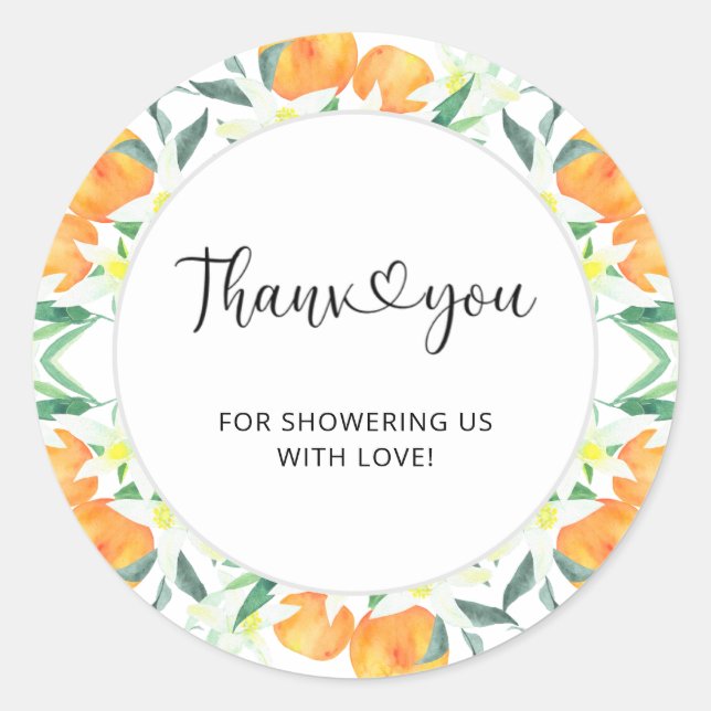 Oranges thank you classic round sticker (Front)