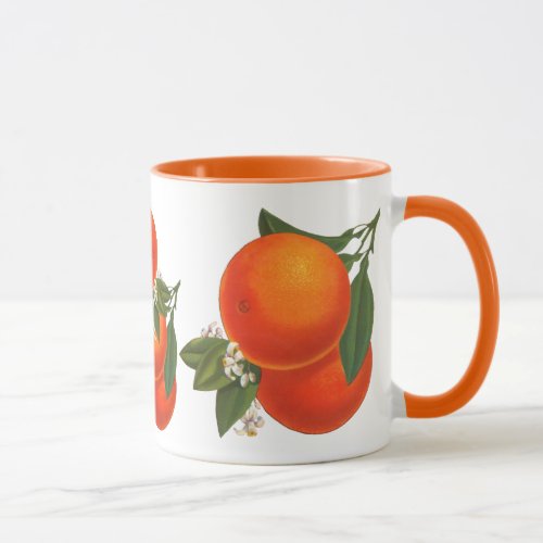 Oranges Vintage Crate Art Coffee Mug