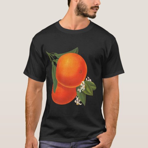 Oranges Vintage Crate Art